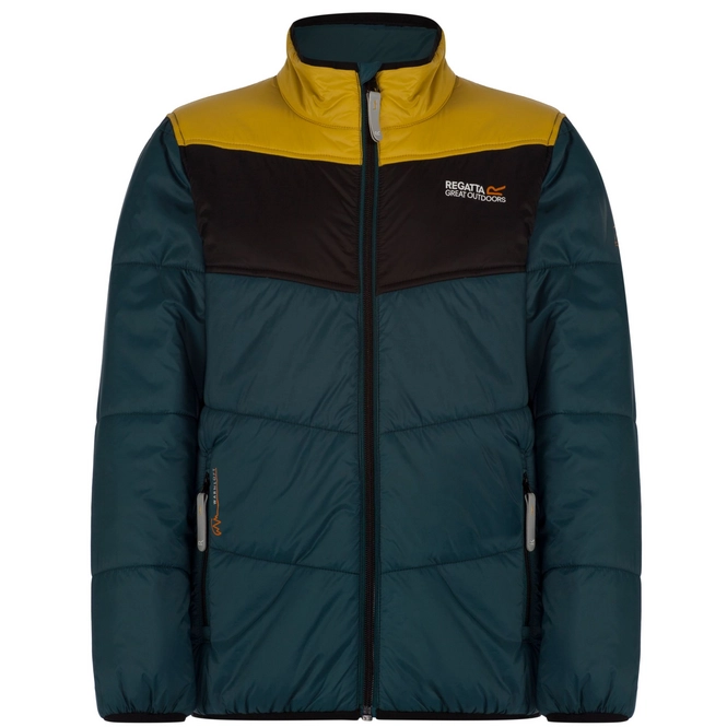 Winter Jacket Regatta Bound II Green