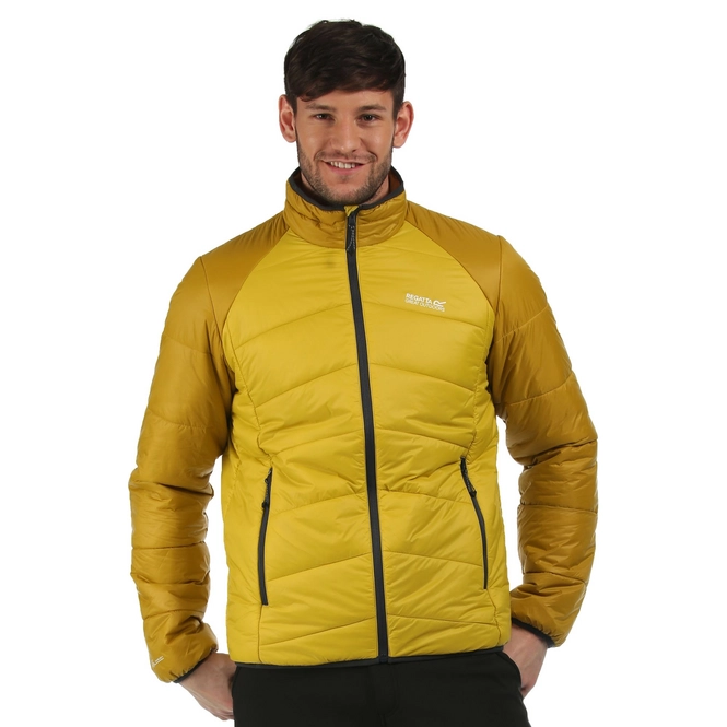 Winter Jacket Regatta Bound II Yellow