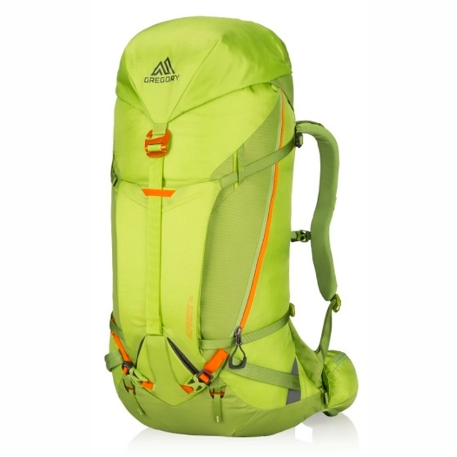 Backpack Gregory Alpinisto 35 Lichen Green M '24