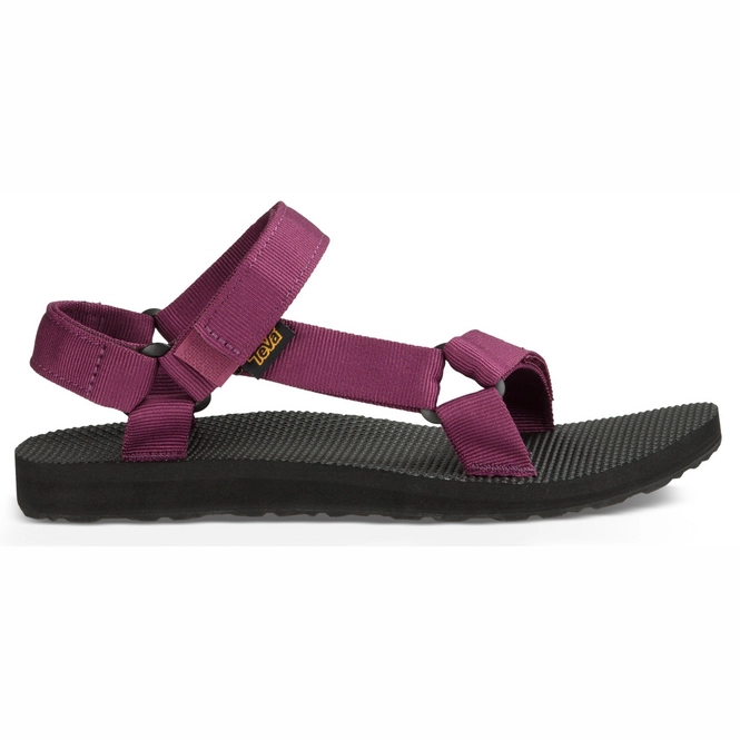 Teva Women Original Universal Purple