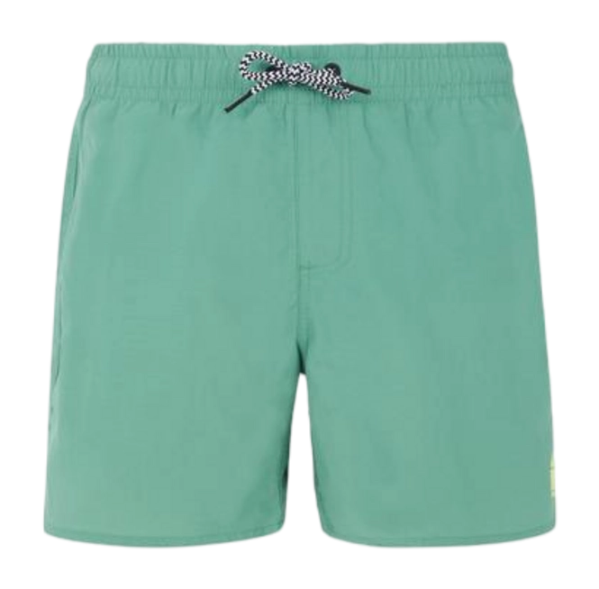 Beachshort Protest Boys Culture Frosty Green 24