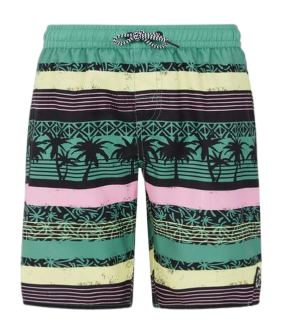 Beachshort Protest Boys Prtfrisby Frosty Green 24