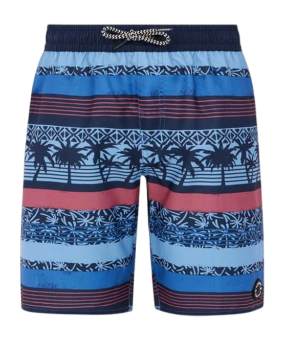 Beachshort Protest Boys Prtfrisby Gladio Blue 24