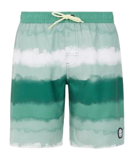 Beachshort Protest Boys Prtabel Frosty Green 24