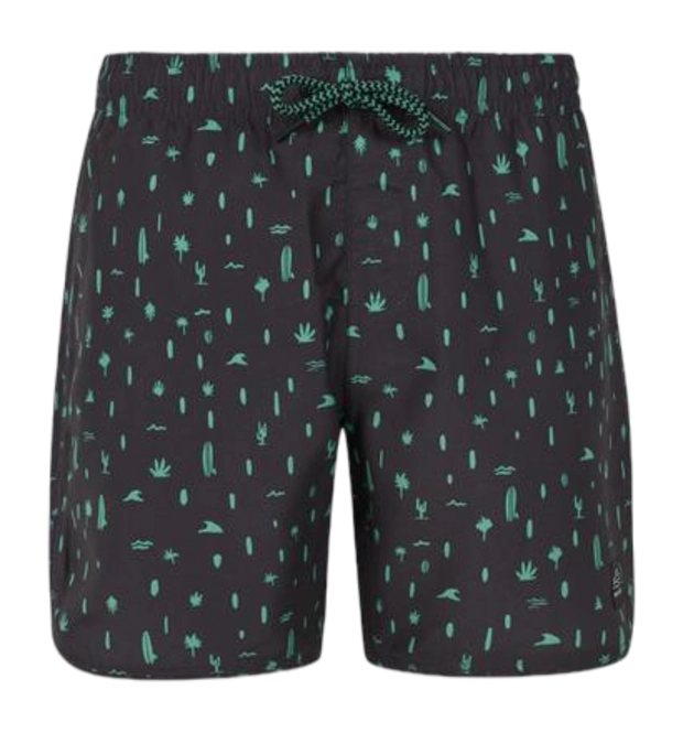Beachshort Protest Boys Prtsaul Deep Grey 24