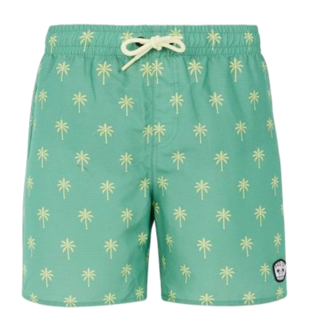 Beachshort Protest Boys Prtfonz Frosty Green 24