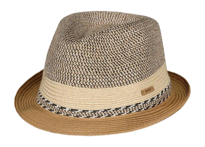 Hat Barts Men Fluorite Paper Natural