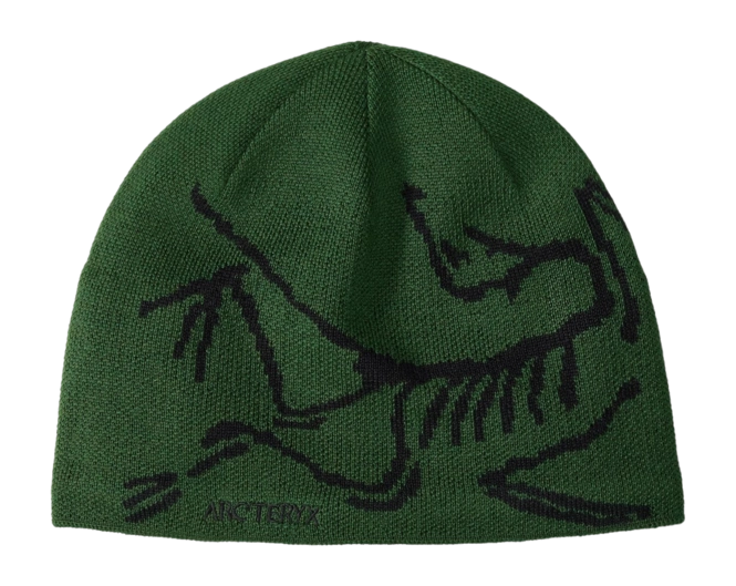 Beanie Arc'teryx Unisex Bird Head Toque Eden Black