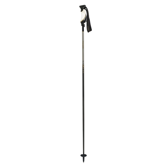 Ski Poles Komperdell Alpine Rebellution Carbon Gold