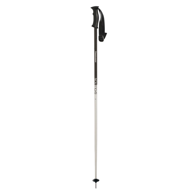 Ski Poles Komperdell Alpine Evolution Silver
