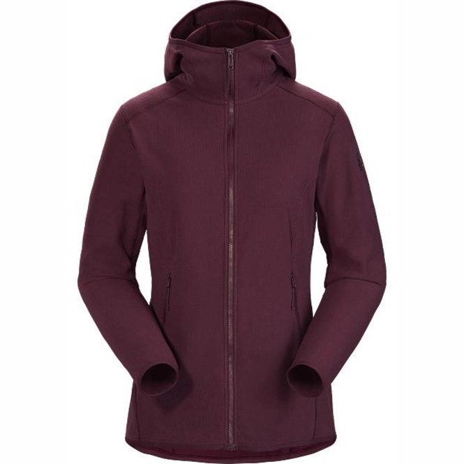 Fleece Arc'teryx Women Delta LT Hoody Rhapsody