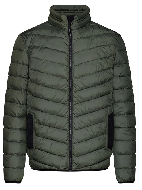 Jacket National Geographic Men No Goose Thyme