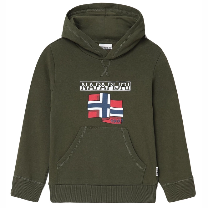 Hoodie Napapijri Youth Birex H Green Depths