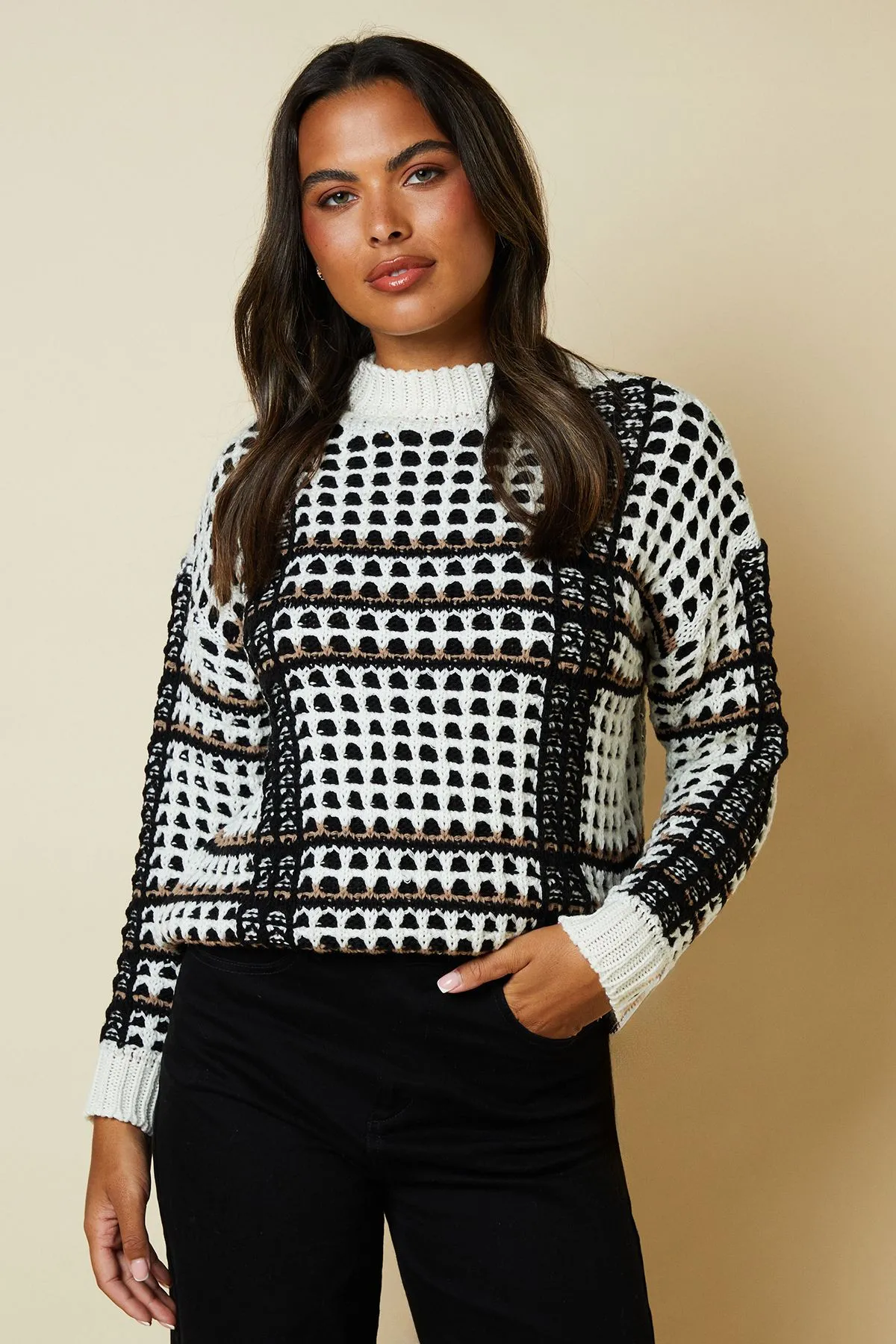 Stripe Detail High Neck Jumper