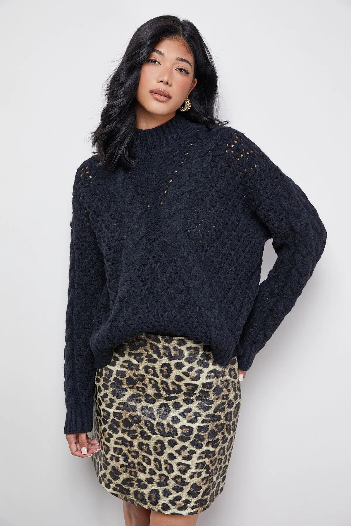 Chunky Cable Knit Roll Neck Jumper