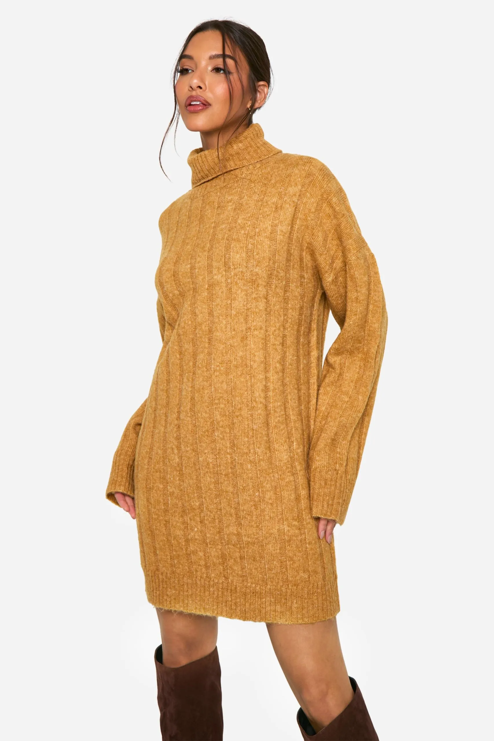 Wide Soft Rib Roll Neck Jumper Dress