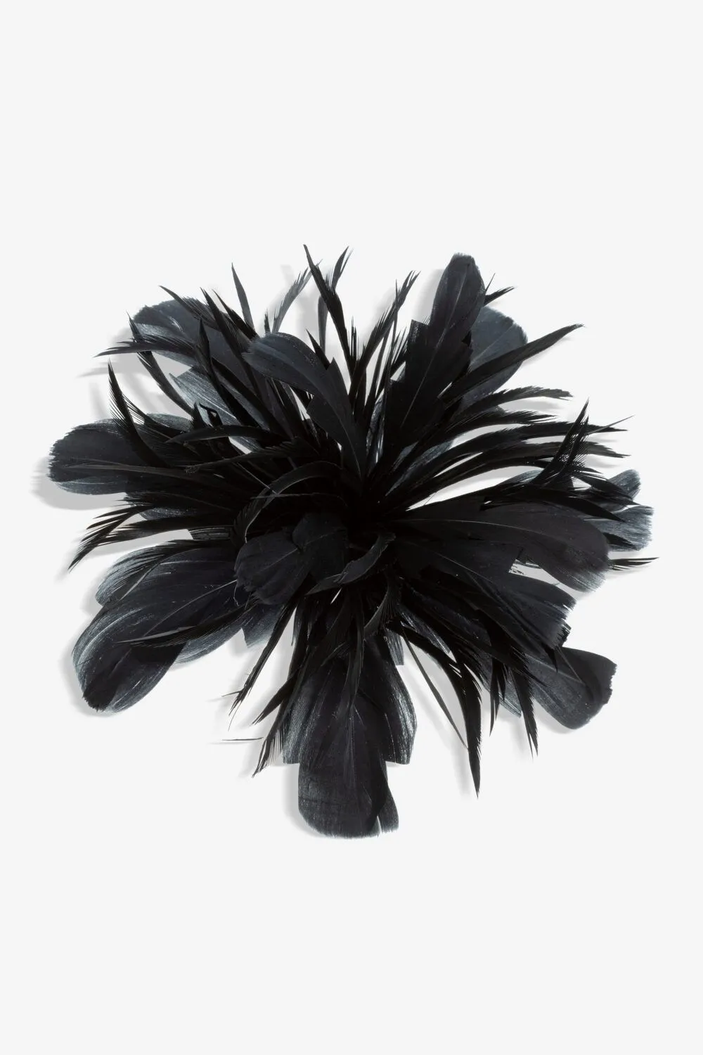 Black Statement Floral Clip Fascinator