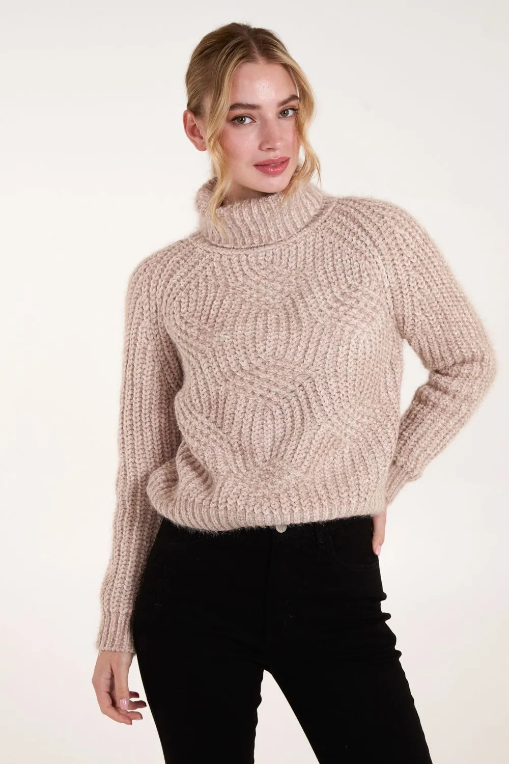 Chenille Roll Neck Knit Jumper