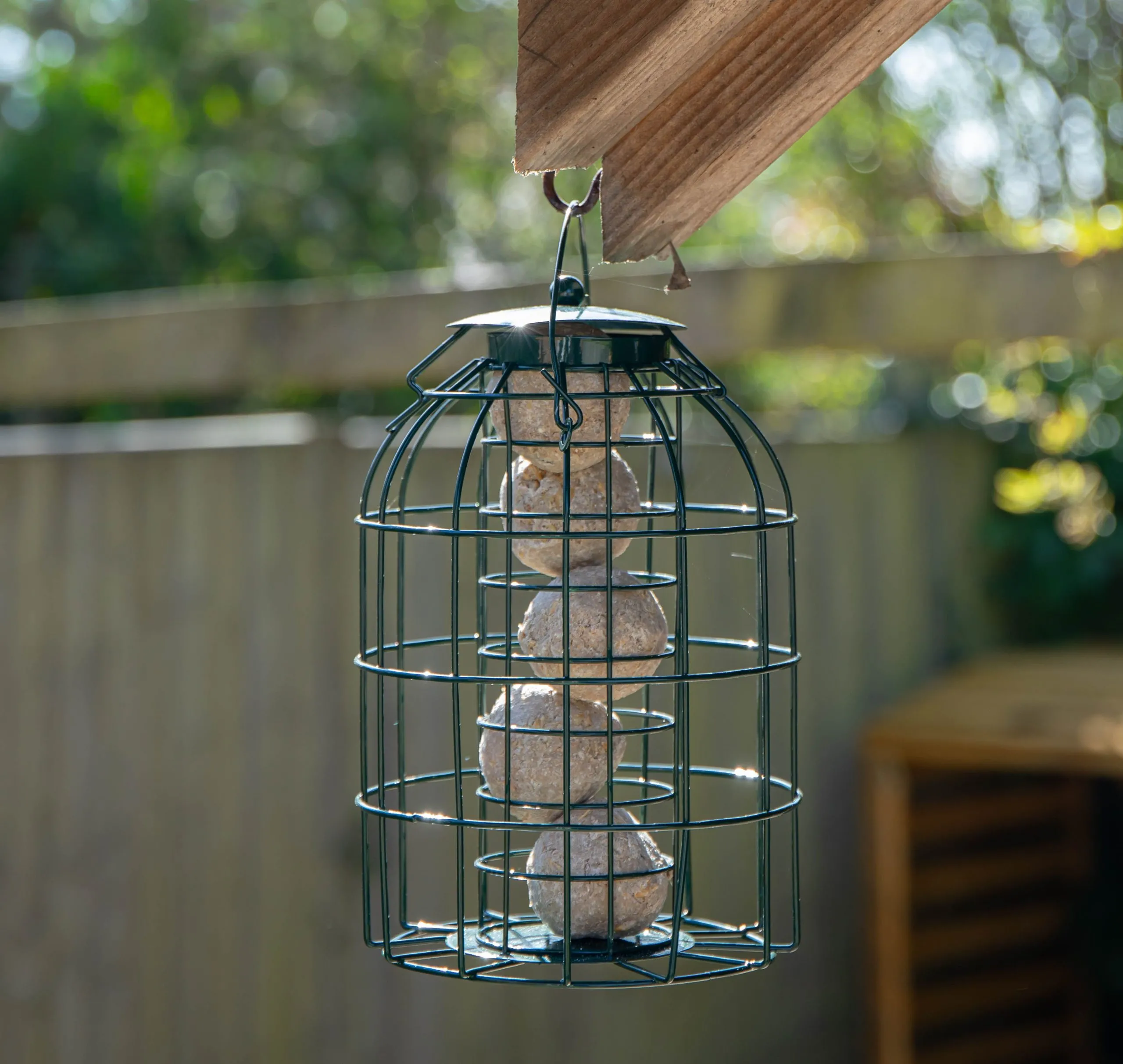 SA Hanging Bird Fat Ball Feeder with Squirrel Guard