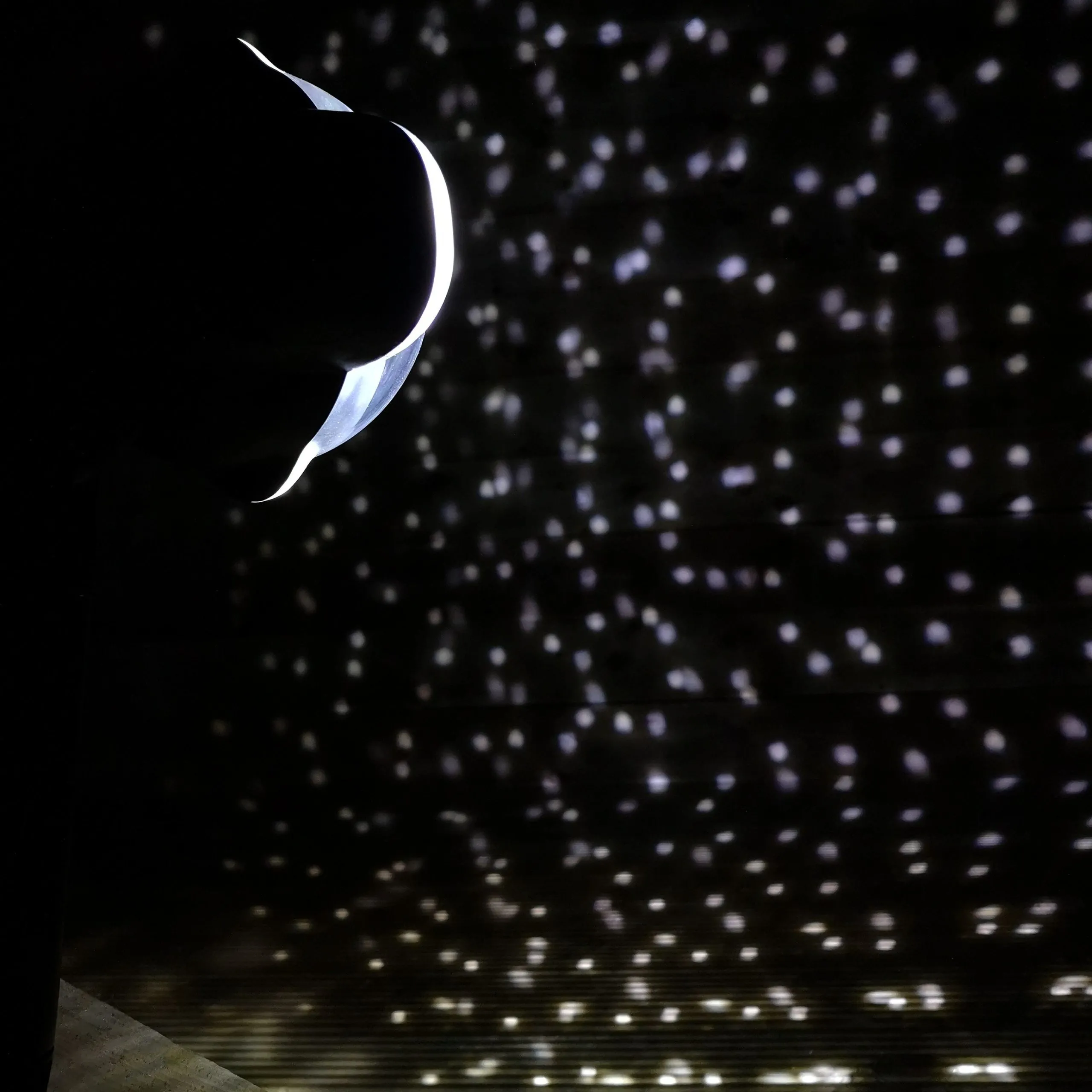 Premier Outdoor Christmas Snowfall Projector Light with Cool White LEDs