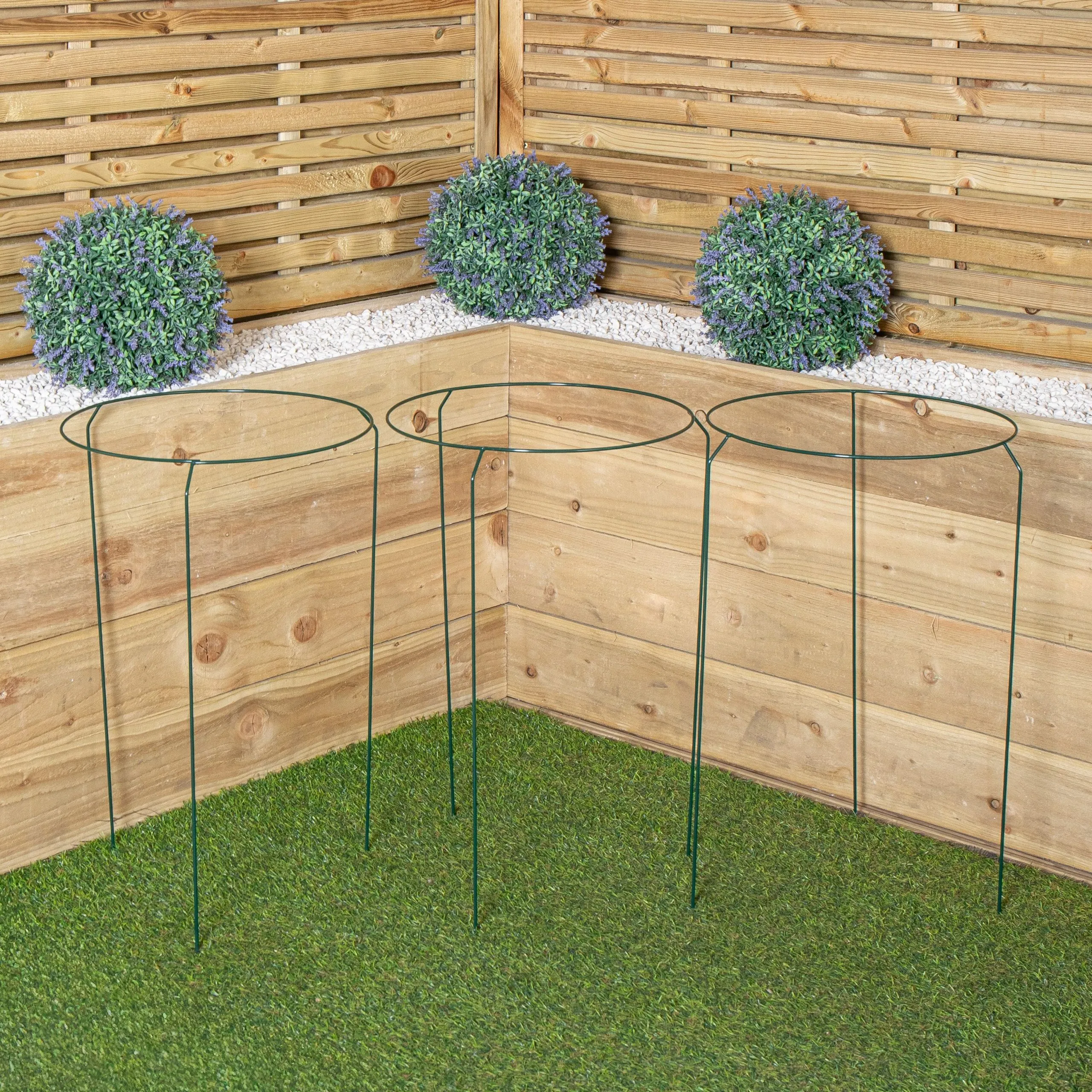 Pack of 3 Tom Chambers Urban Metal Herbaceous Garden Plant Support Ring Large 40cm x 60cm