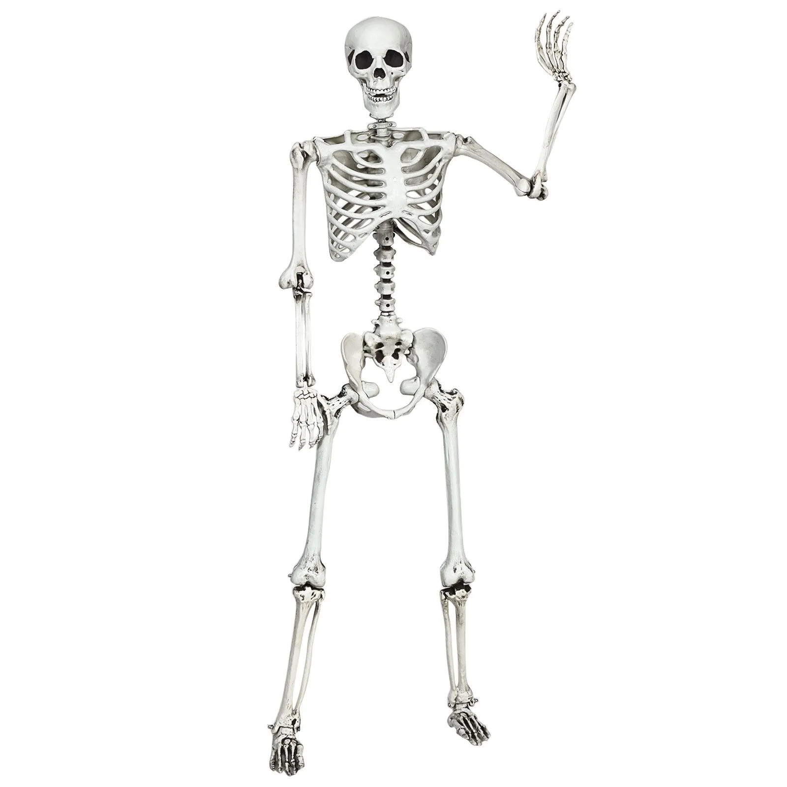 160cm Halloween Skeleton Life-Size Realistic Human Bones